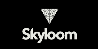 Skyloom Logo