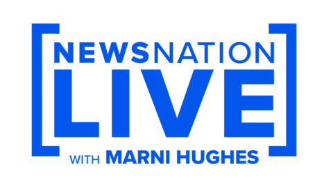 NewsNation Logo