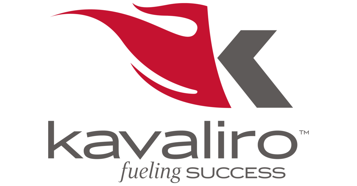 Kavaliro Appoints Six New Executives - Business Wire