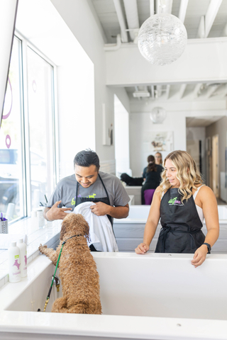 original Bubbly Paws provides everything you need to make your dog look and feel their best. (Photo: Business Wire)