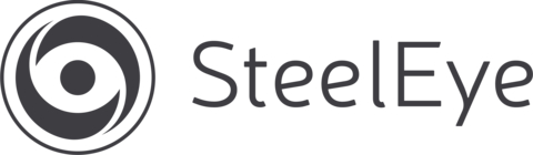 SteelEye Logo