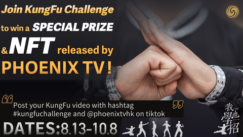 “Kungfu Challenge”-A social media campaign launched by Phoenix TV got millions of engagement worldwide (Graphic: Business Wire)