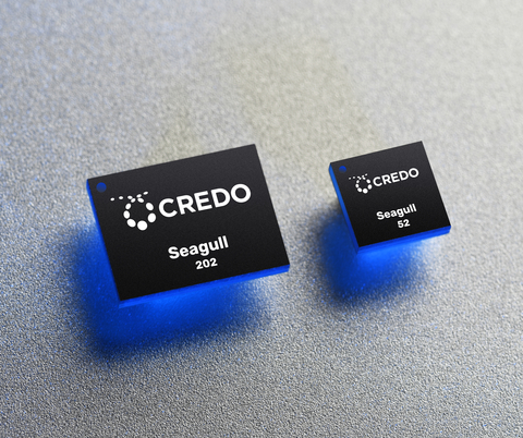 Credo Targets Hyperscale Data Centers and 5G Networks with New Optical DSPs. New Seagull 202 and 52 DSPs Deliver High Performance and Low Power with Integrated DML Drivers (Photo: Business Wire)