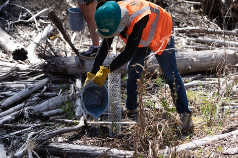 McKenzie River Regenerative Travel Project participant helps replant areas affected by wildfires. (Photo: Business Wire)