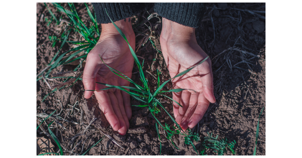 Syngenta Seedcare and Bioceres Crop Solutions collaborate to bring