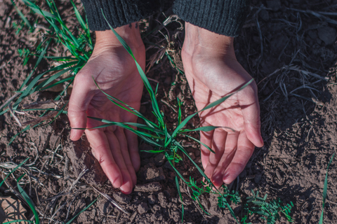 original Syngenta Seedcare and Bioceres Crop Solutions collaborate to bring innovative biological seed treatments to market (Photo: Business Wire)