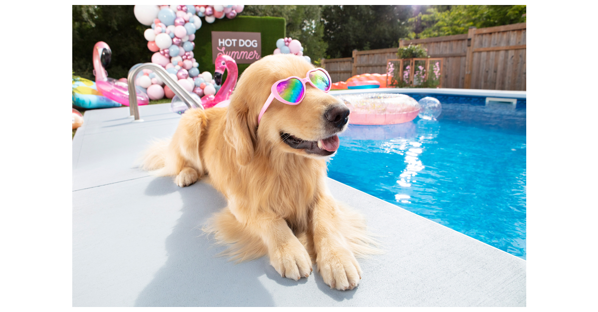 GLIDDEN paint by PPG marks launch of surface temperature-limiting floor coatings with must-see 'Puppy Pool Party' video