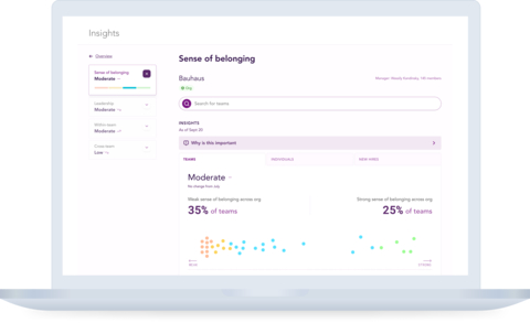 Mystery Insights measures connections like sense of belonging and identify opportunities and gaps across teams. (Graphic: Business Wire)