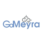 GoMeyra_Logo_Blue_Gray_Stacked.jpg