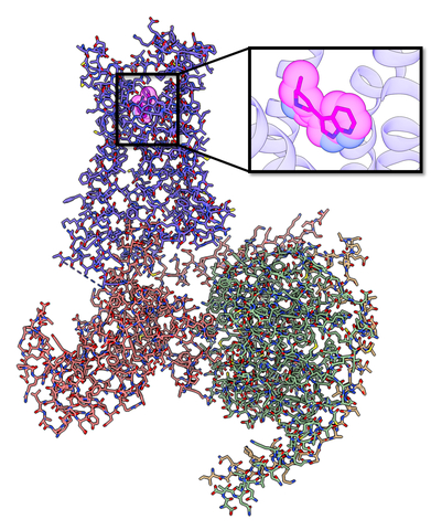 Representation of the serotonin 2A Receptor (5HT2AR) signaling protein complex bound with the new compound R-69 (in subset magenta). (Photo: Business Wire)