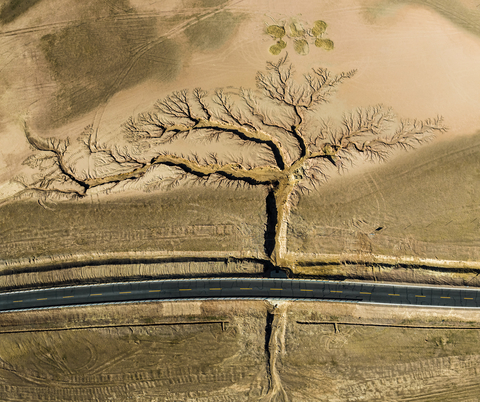 GRAND PRIZE // Li Ping – China // Branching Out: On either side of a highway, gullies formed by rainwater erosion span out like a tree in Tibet, an autonomous region in southwest China. (Photo: Business Wire)