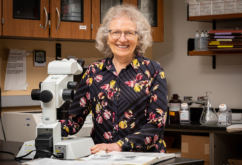 Dr. Betty Diamond, MD, has been awarded the AAMC Group on Women in Medicine and Science Leadership award for her research in molecular medicine and advocacy for women in science at The Feinstein Institutes for Medical Research. (Credit: Feinstein Institutes)