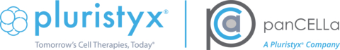 Pluristyx Logo