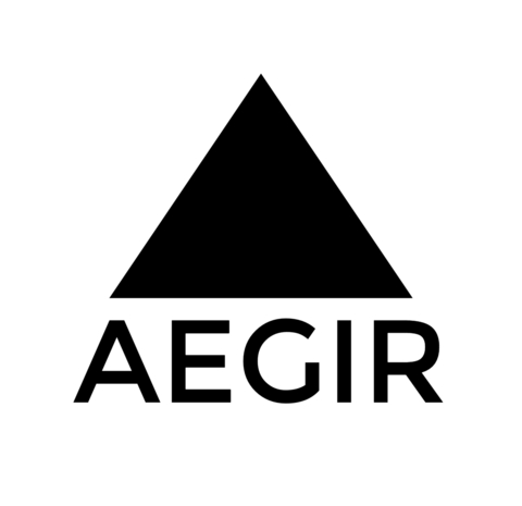 Aegir Insights Logo