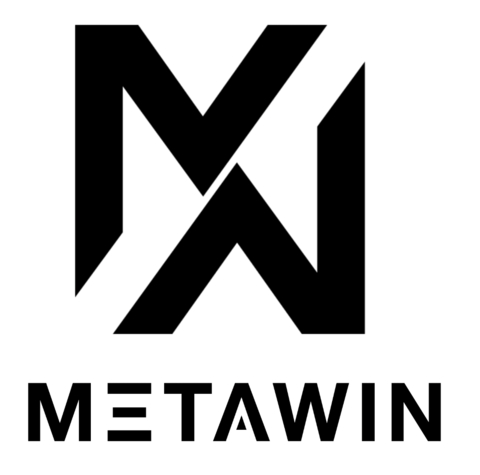 MetaWin Logo