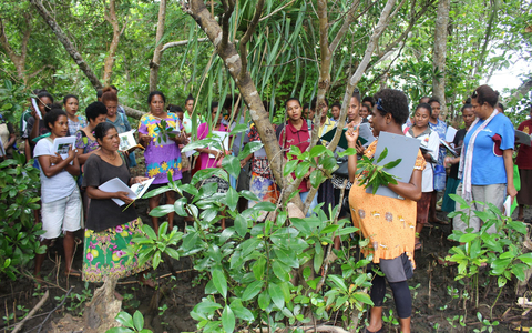 In the Coral Triangle, Mary Kay has continued to partner with TNC to support women in Papua New Guinea and Mangoro Market Meri to provide training in leadership, financial literacy, and business management. The women in these regions market sustainable mangrove products which help to generate much-needed income and employment opportunities. (Photo: Mary Kay Inc.)