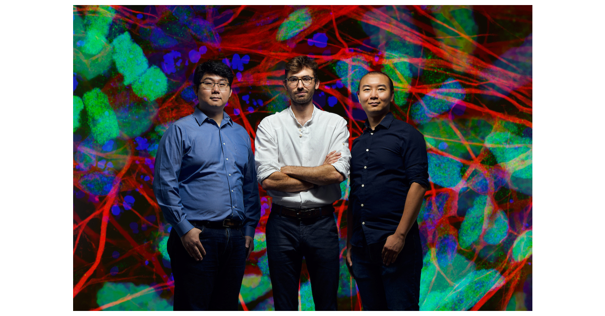 Axoft Launches Brain Implant Technology to Treat Long-Term Neurological ...