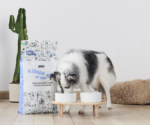 original https://food.bark.co (Photo: Business Wire)