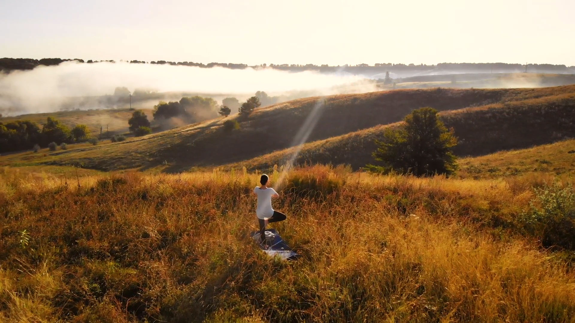 The eight chapters that comprise "Awaken in Nature" lead the reader through personal growth and a deeper level of understanding and consciousness of the beauty and serenity of nature. It is comprised of 62 inspirational essays that explore a hidden world of spiritual awakening and the inspiring beauty of nature.