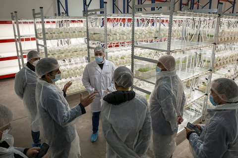 Botanical Solution Inc. (BSI) showcases its technology platform to the Syngenta global team during a recent visit to BSI R&D labs in Santiago, Chile. (Photo: Business Wire)
