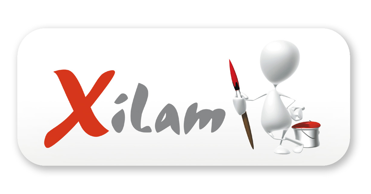 Xilam asserts its CSR ambition by reinforcing its leadership with the appointments of: François-Xavier de Maistre as Chief Impact Officer; Anne Hemery as EVP Human Resources