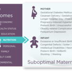 Umoja_Food_For_Health_Key_Factors_of_Maternal_Outcomes_Infographic-2022.jpg