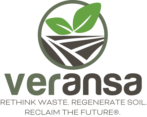 Veransa Group, Inc Logo