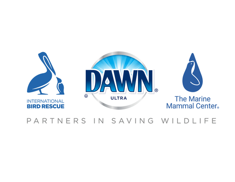 Partners in saving wildlife (Graphic: Business Wire)