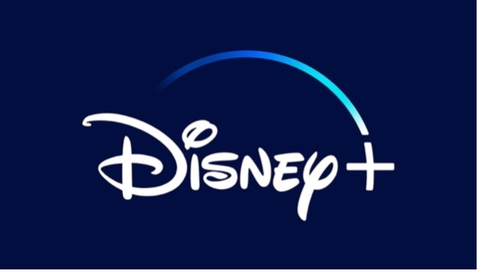 Disney Branded Television Logo