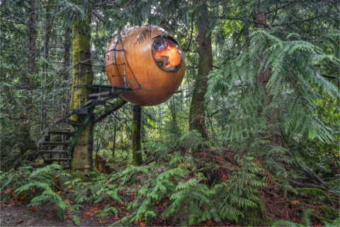 RARE Treehouse Resorts' existing installation in Vancouver Island (Photo: Business Wire)