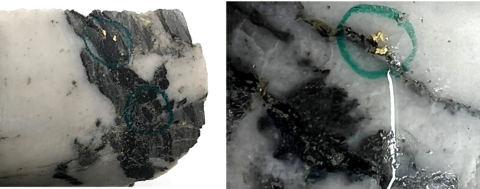 Figure 2: Photos of mineralization from: L: at ~70m in NFGC-22-690, R: at ~75m in NFGC-22-661 ^Note that these photos are not intended to be representative of gold mineralization in holes NFGC-22-690 and NFGC-22-661. (Graphic: Business Wire)