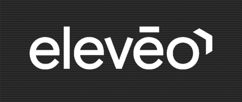 Zoom International Logo