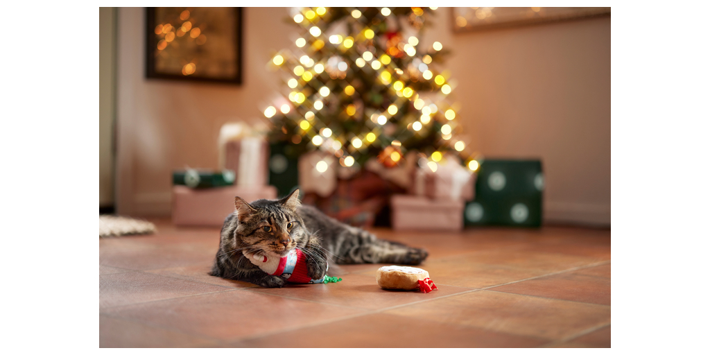 chewy christmas cat toys