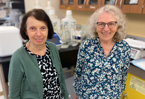 Drs. Anne Davidson (left) and Betty Diamond received top honors from the American College of Rheumatology (ACR) and the Association of Rheumatology Professionals. (Photo: Business Wire)