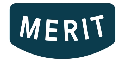 Merit International, Inc. Logo
