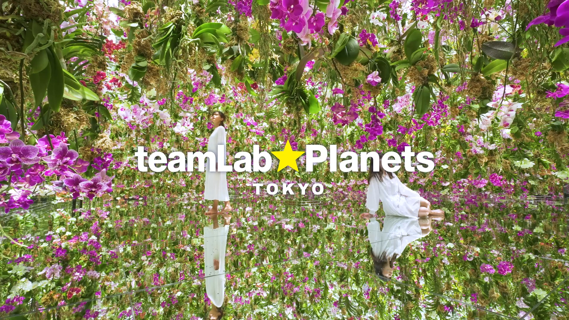 teamLab Planets TOKYO © teamLab