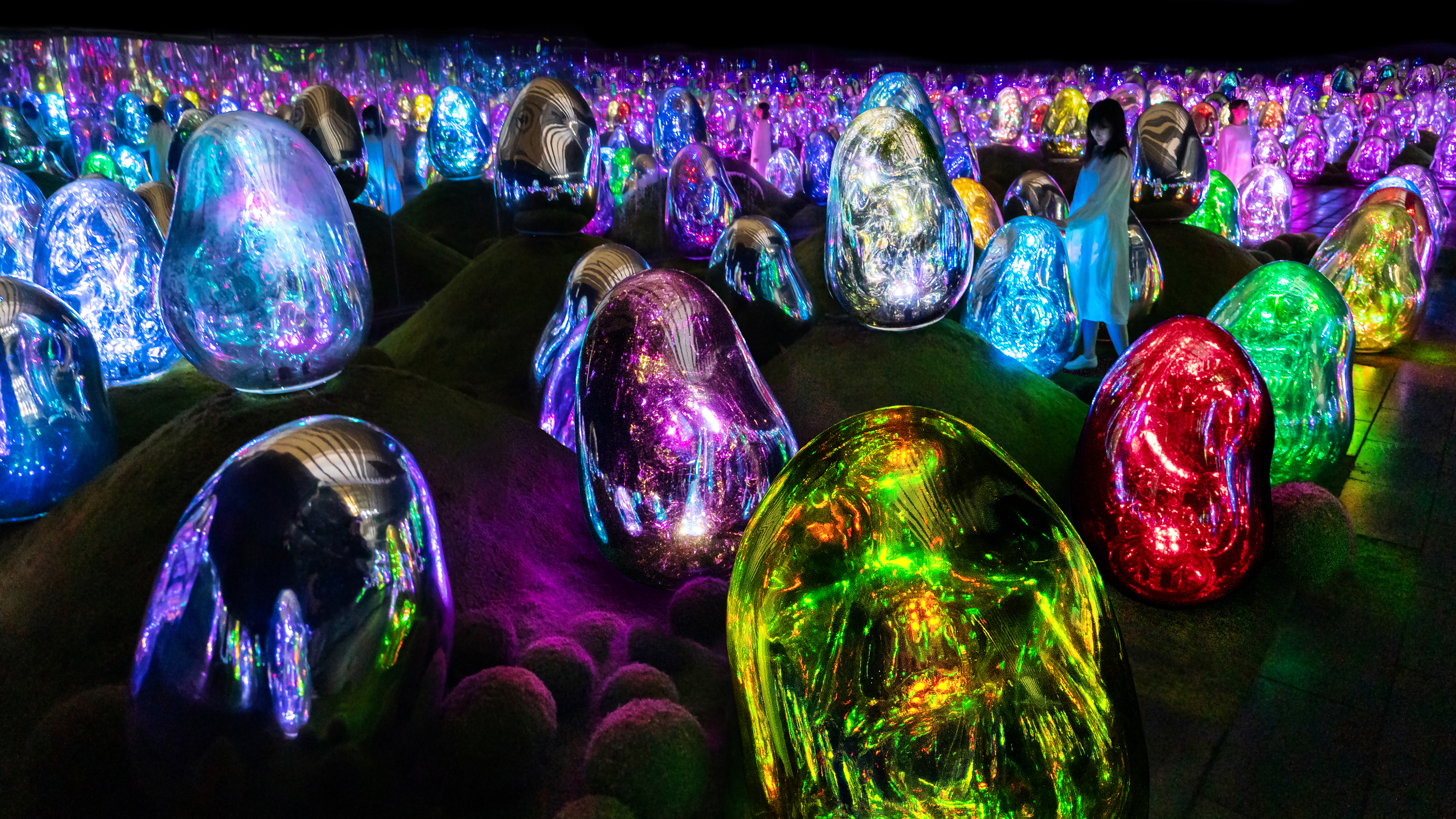 東京・豊洲のチームラボプラネッツ、訪日個人旅行解禁後約1ヶ月で