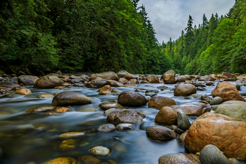 original (Photo: Business Wire)