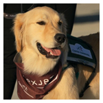flexjet_%26_pet_pals_%281080p%29.jpg