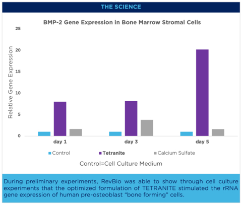 During preliminary experiments, RevBio was able to show through cell culture experiments that the optimized formulation of TETRANITE stimulated the rRNA gene expression of human pre-osteoblast “bone forming” cells.