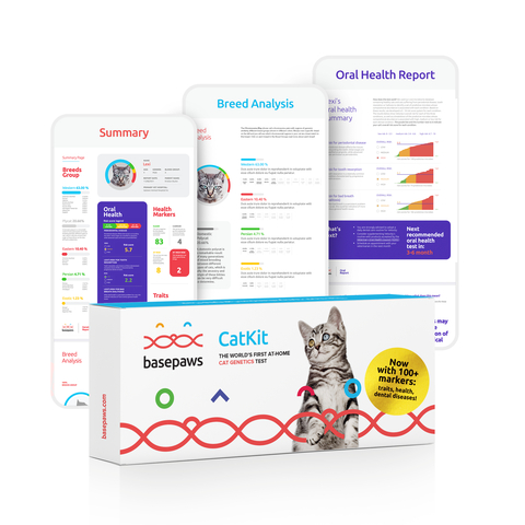 Basepaws Breed + Health Cat DNA Test (Photo: Business Wire)