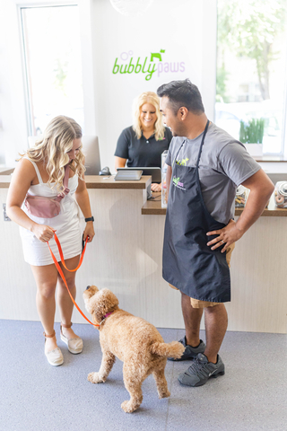 original Bubbly Paws provides a self service dog wash and full service grooming salon in a bright, clean setting where it is fun to bathe your pooch! (Photo: Business Wire)