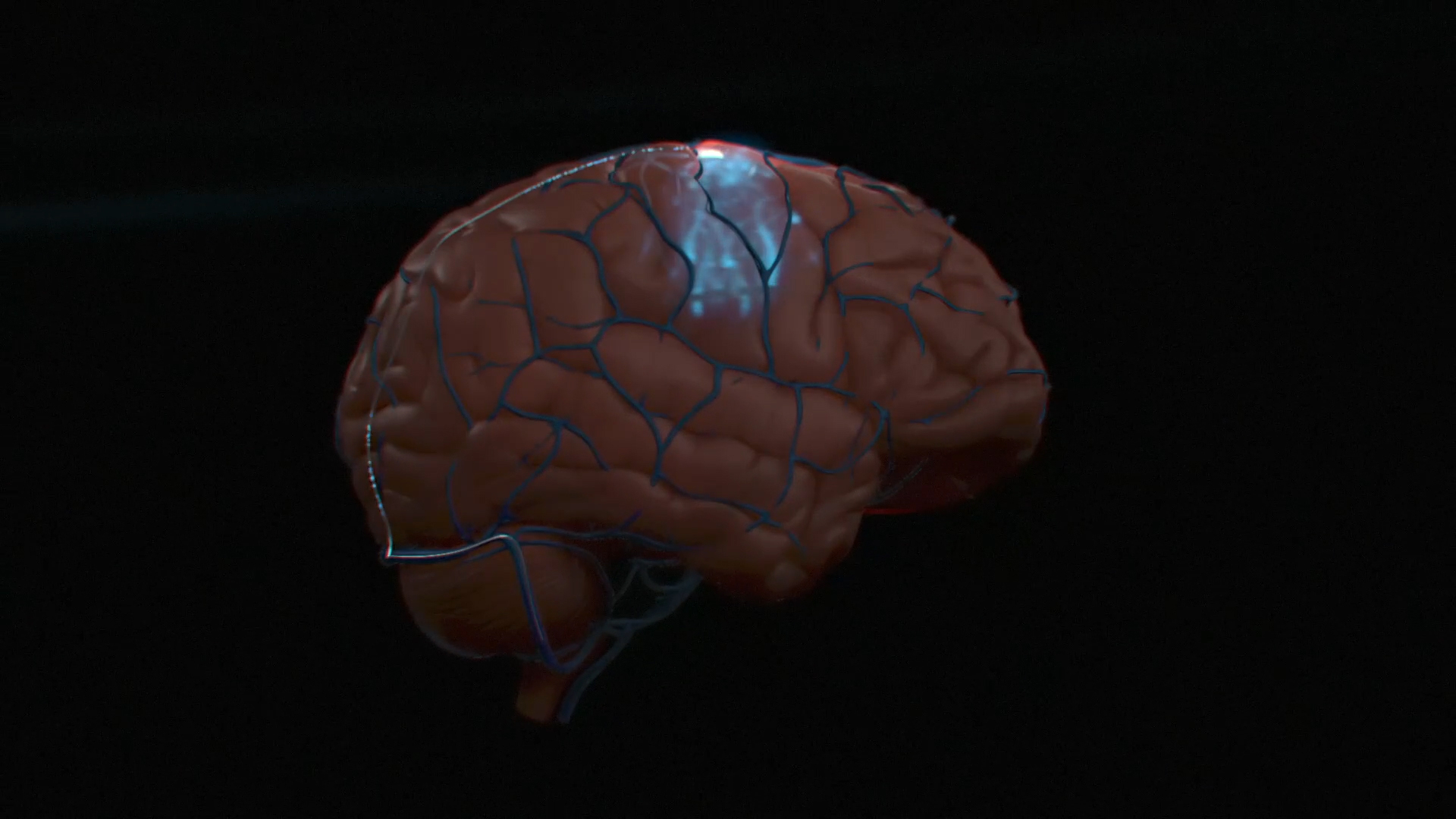 Человеческий мозг и компьютер. Кортекс мозг. Интерфейс мозг-мозг. Нейрокомпьютерный Интерфейс.