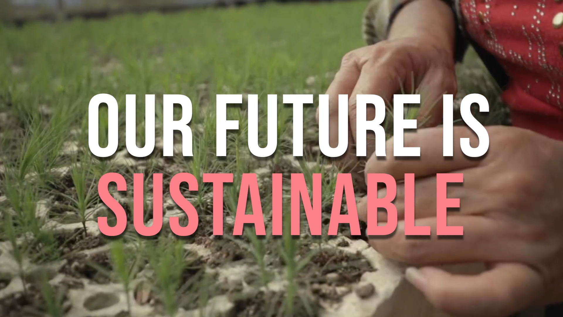 Enriching Lives Today for a Sustainable Tomorrow offers a holistic approach that encompasses the three pillars of sustainability--economic, environmental and social--through five initiatives, activated by 15 commitments, to deliver a decade of sustainable action.