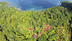 Soul Community Planet suma el Costa Rican Wilderness Lodge a su creciente colección de hoteles SCP