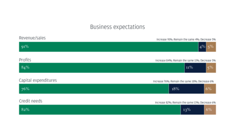 Business expectations (Graphic: Business Wire)