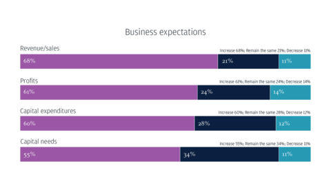 Business expectations (Graphic: Business Wire)