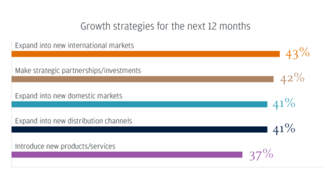 Growth strategies for the next 12 months (Graphic: Business Wire)