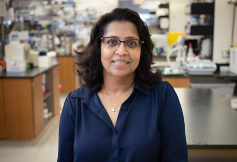 Sangeeta Chavan, Ph.D., is a senior author on a Molecular Medicine paper.  (Credit: The Feinstein Institute)