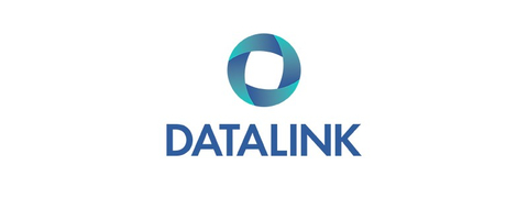 DataLink Software Logo